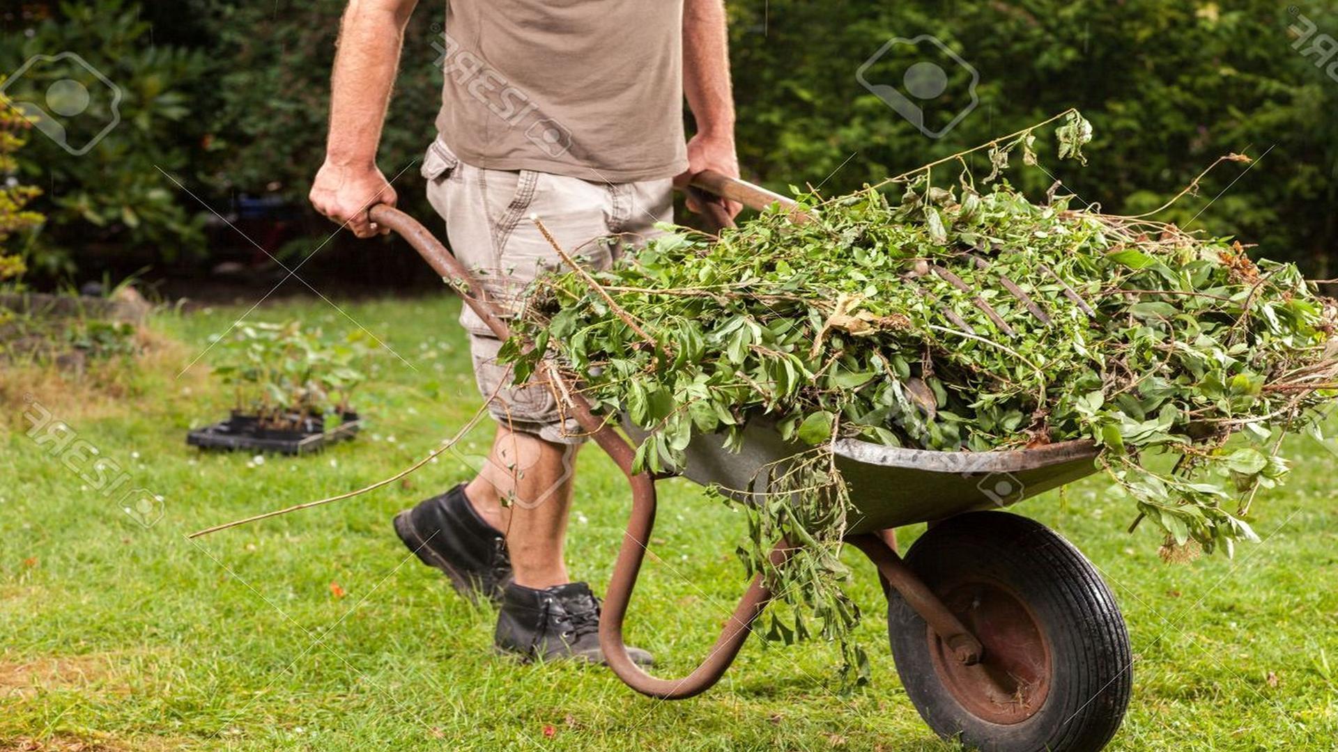 Green Garden Waste Collections Are Changing